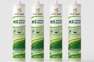 ms (2) ms (2)